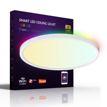 WiFi Smart Ceiling Light CCT+RGB 24W+6W 300mm/11.81inch