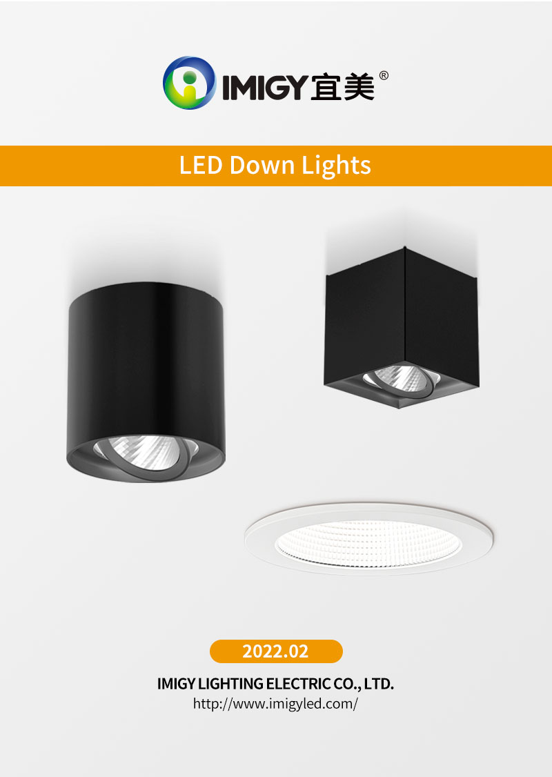 LED Down lights
