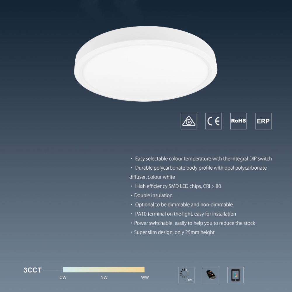 CL04 Light emitting diode ceiling waterproof fog round bathroom living room bedroom home lighting energy saving round flat ceiling light emitting diode light