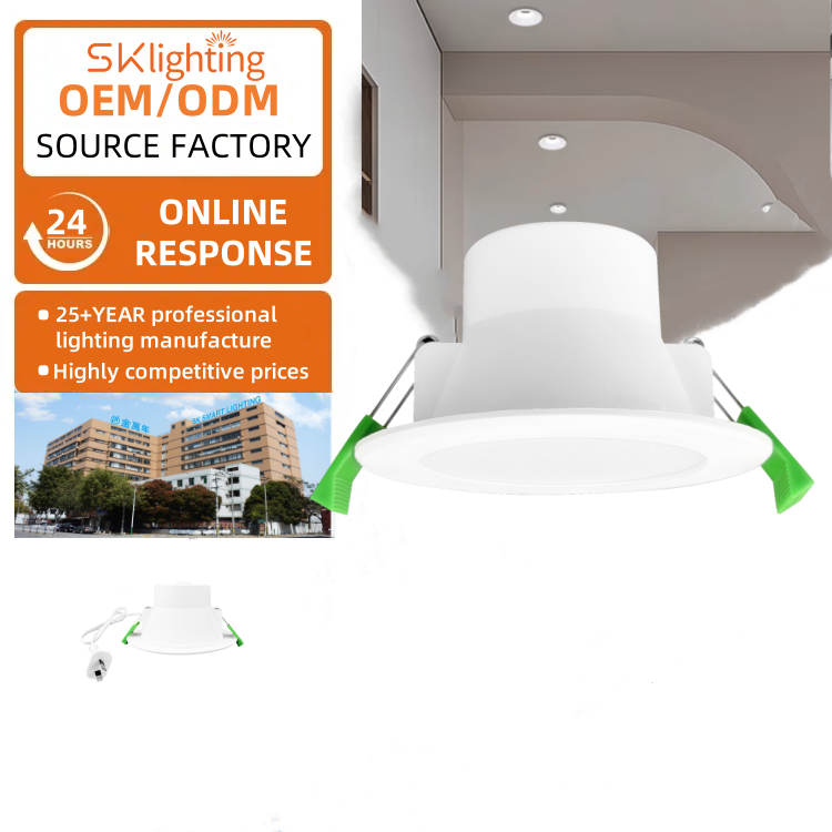DL01 Downlight