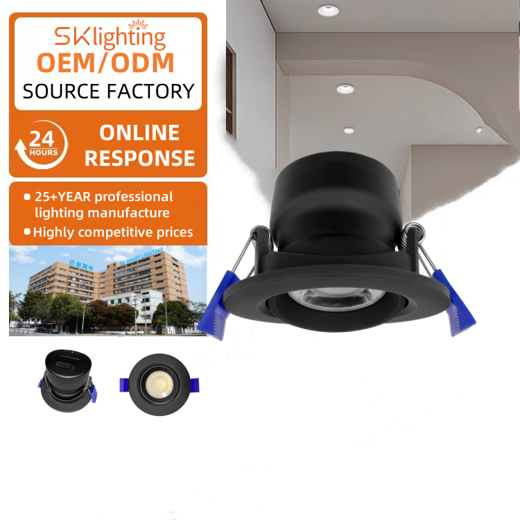 DL02 Downlight