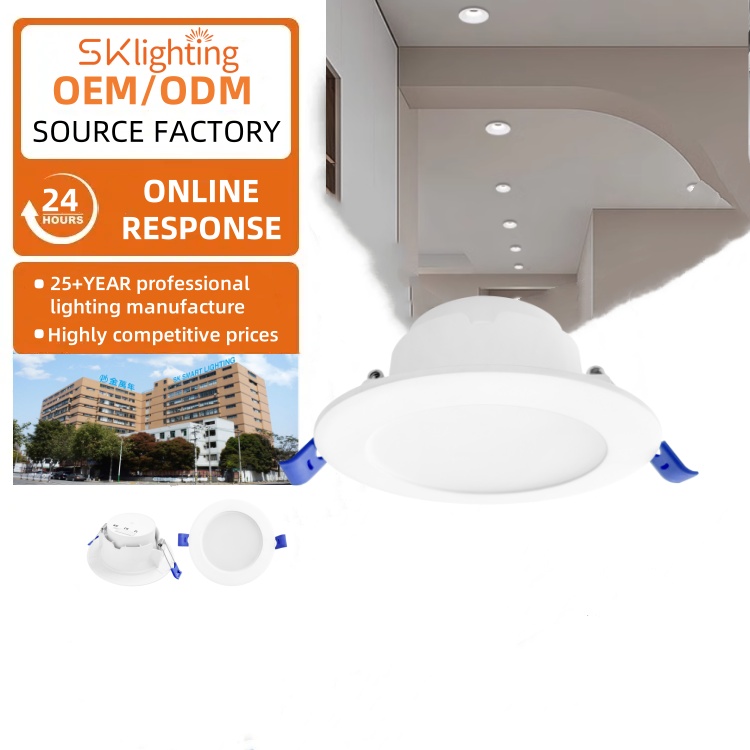 DL09 Downlight