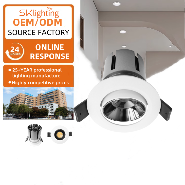 DL12 Downlight