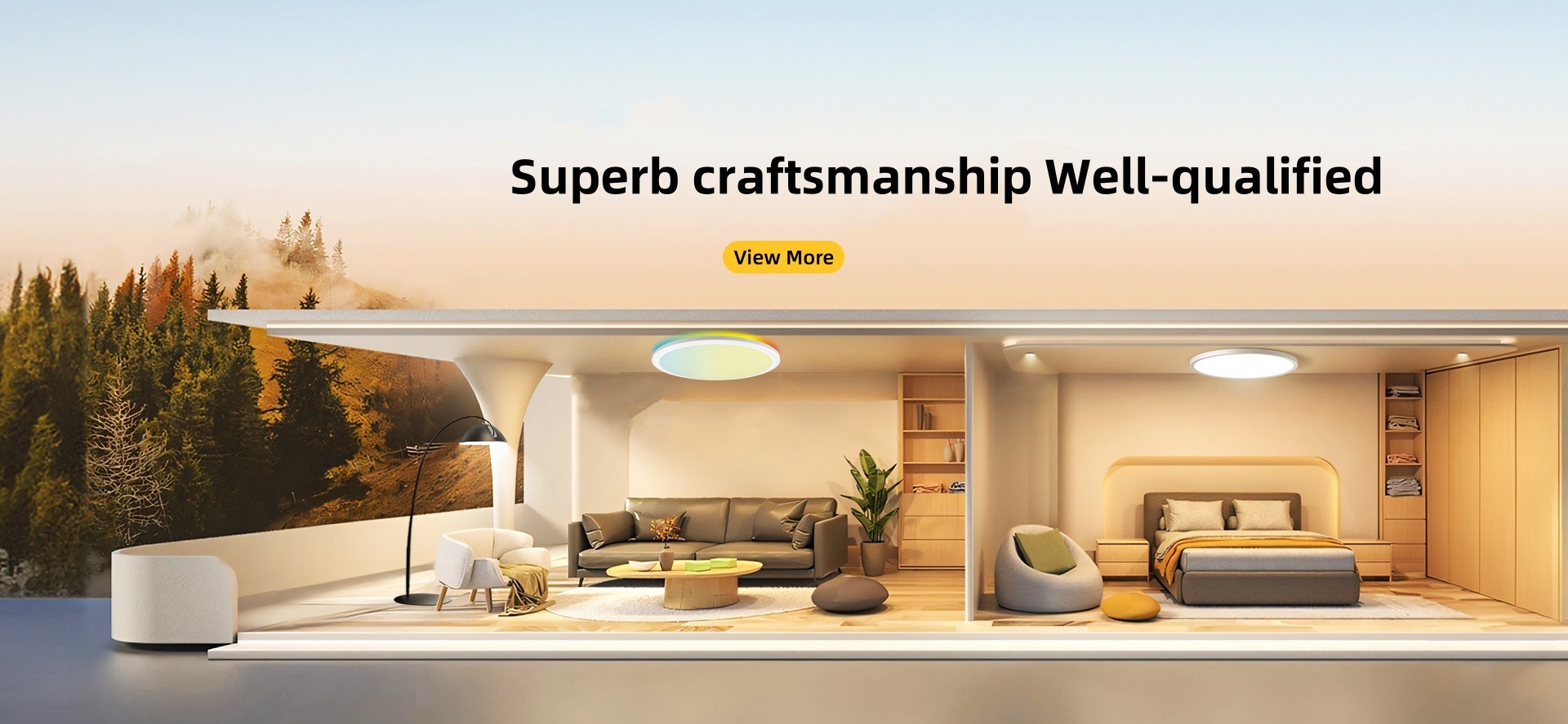Homepage Carousel