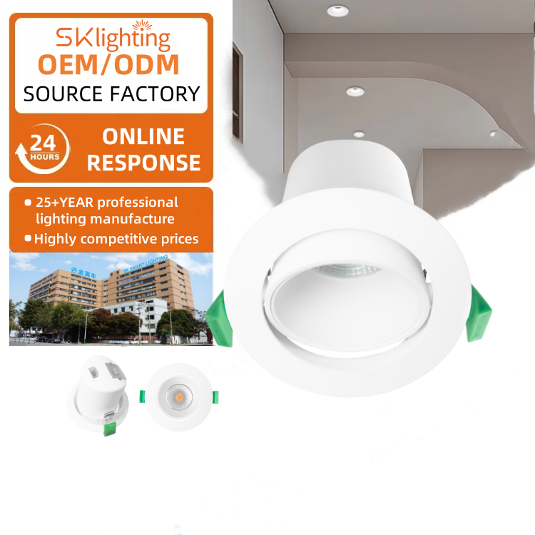 DL13 Downlight