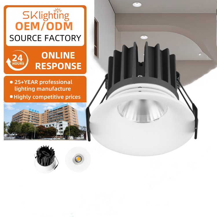 DL19 Downlight