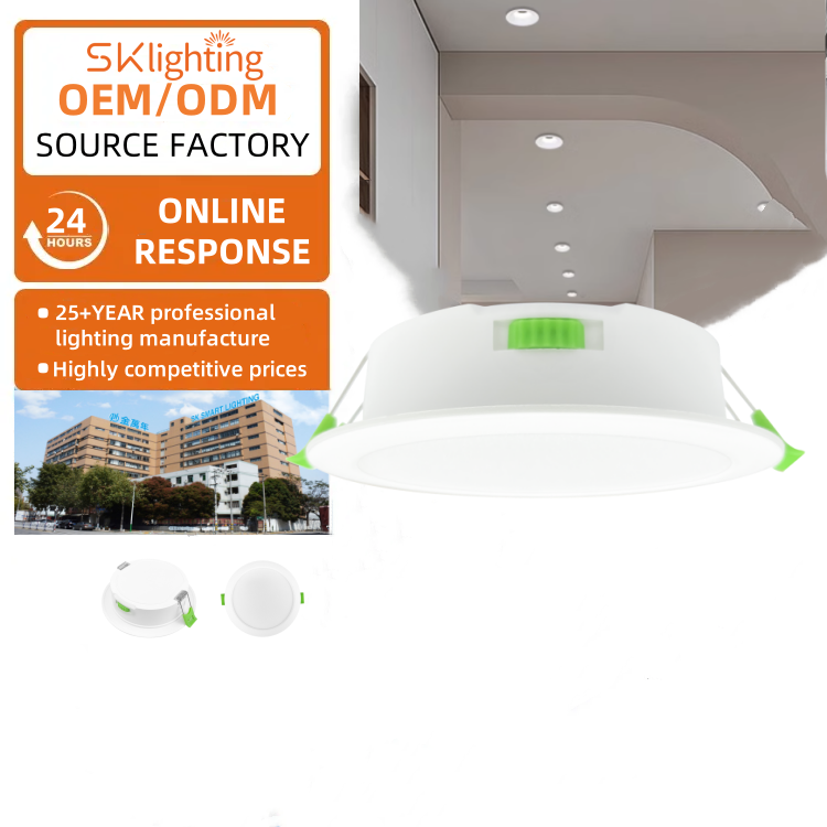 DL17 Downlight