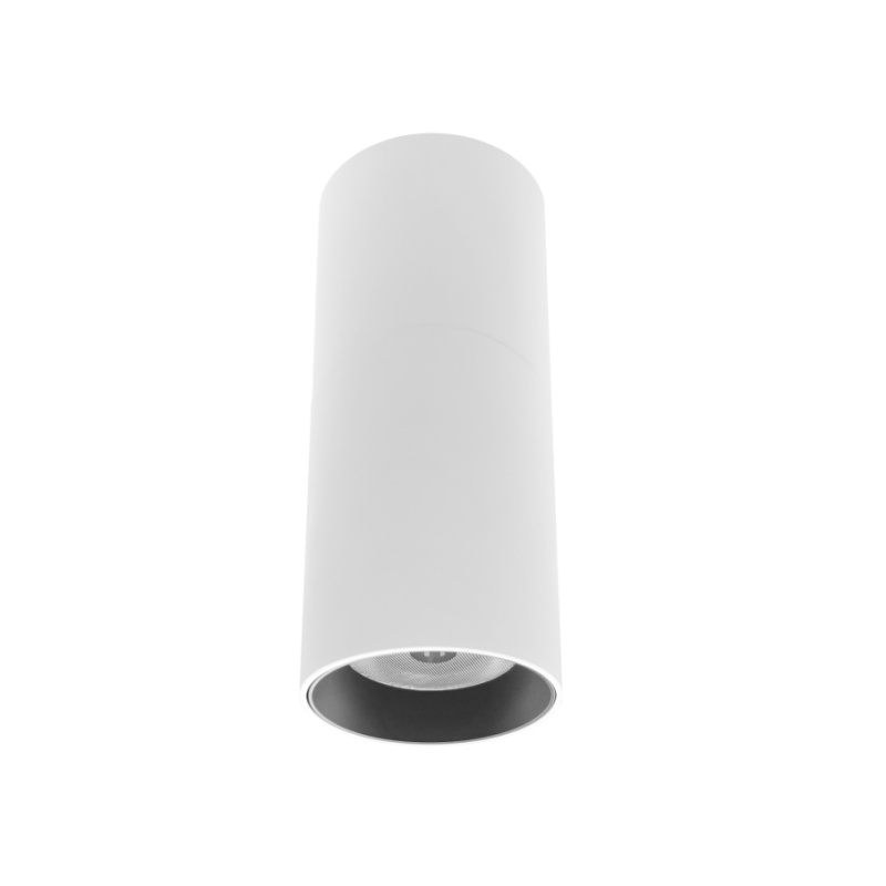 SDL11 Surface Mounted Light