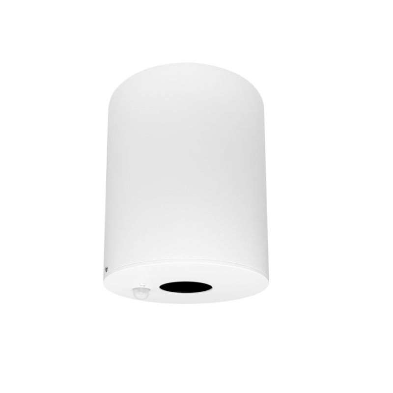 SDL03 Surface Mounted Light